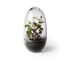 GROW M clear