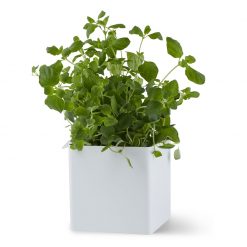 Box FLEX S hvítt