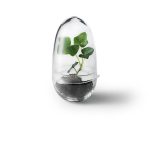 GROW S clear