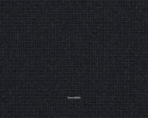 Fame 60051