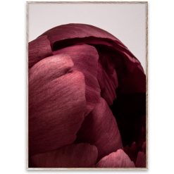 Plakat PEONIA 01 50x70