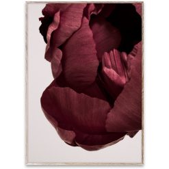 Plakat PEONIA 02 50x70