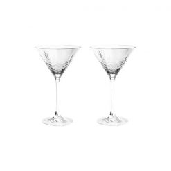 Glas COCKTAIL 22cl 2/pk, glært