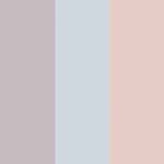 Oyster blue rose