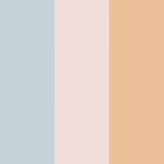 Blue rose peach
