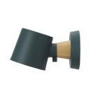 Petrol Green