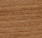 Elm