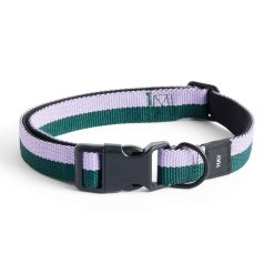 Hundaól HAY DOGS M/L lavender/green