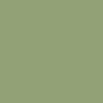 Opaque moss green