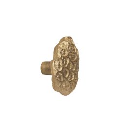 Snagi COMBER CORAL brass