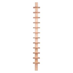 Hilla PILASTER, birki