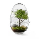 GROW L clear