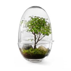 GROW L clear