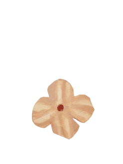 Snagi POESIE rose