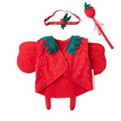 Búningur STRAWBERRY FAIRY 3 ára
