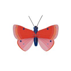 Pappírsdýr SPECKLED COPPER BUTTERFLY