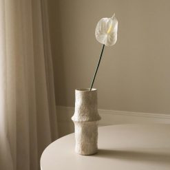 Botané gerviblóm ANTHURIUM Small White