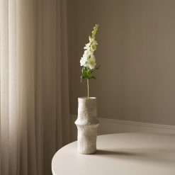 Botané gerviblóm DELPHINIUM White